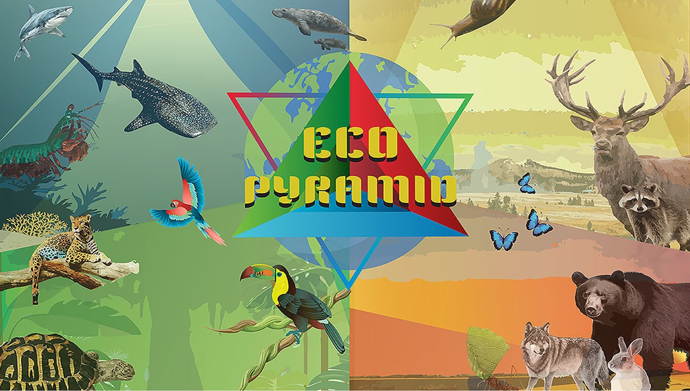 EcoPyramid